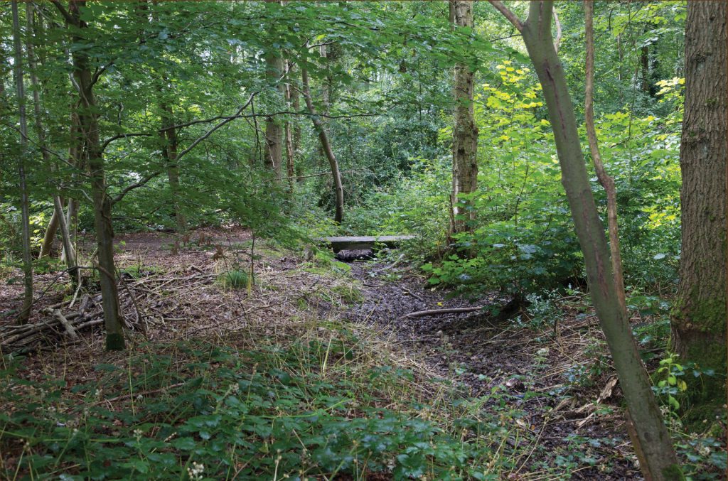 Sleeper Bridges – Solihull Conservation Volunteers